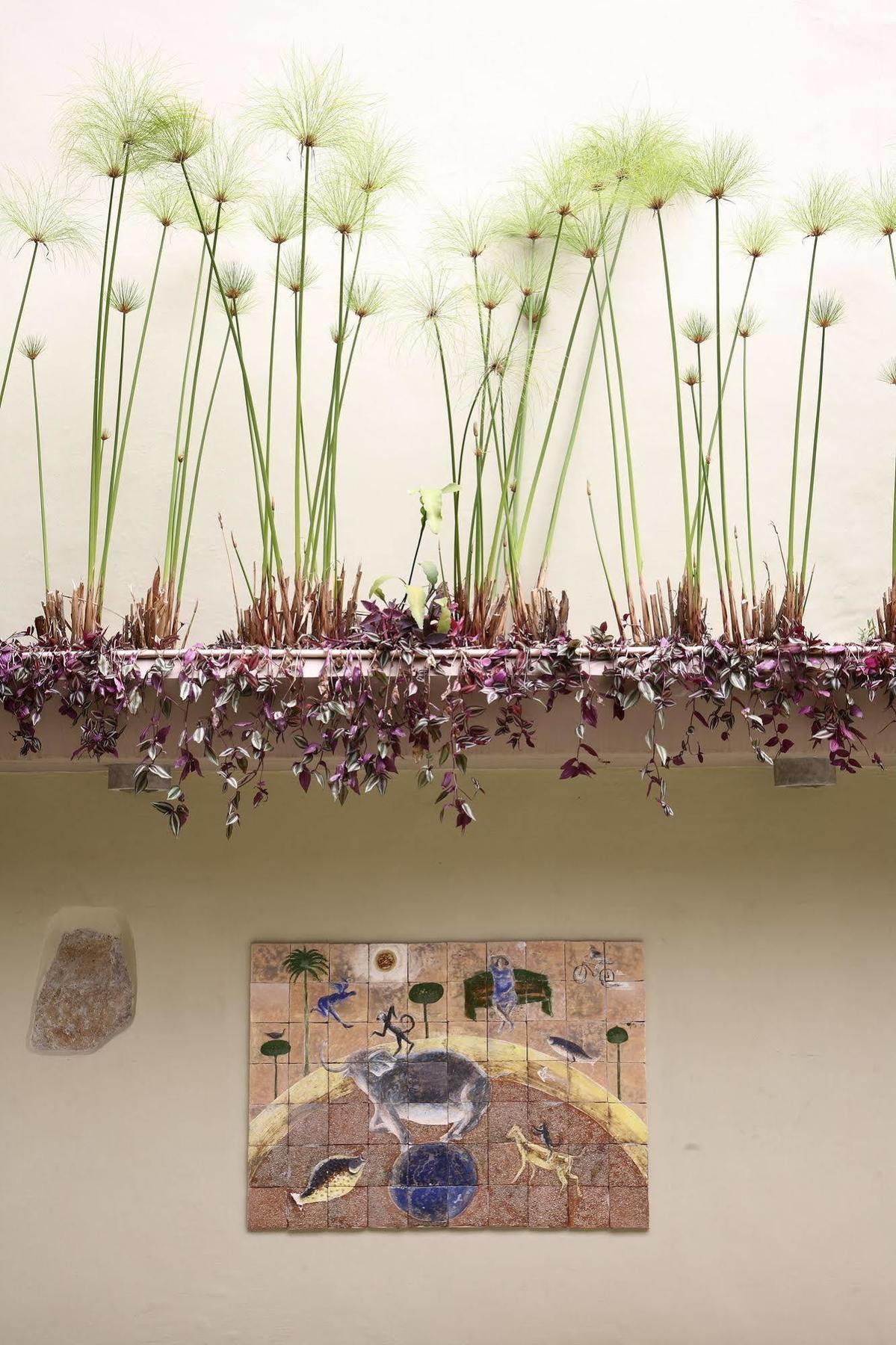 Oaxaca Casa De Las Flores Hotel מראה חיצוני תמונה